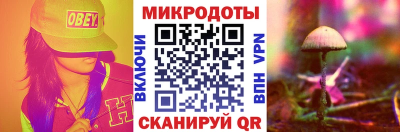 Псилоцибиновые грибы MAGIC MUSHROOMS  купить наркотик  Луза 